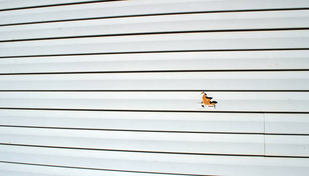  Fort Payne, AL Siding Installation Pros